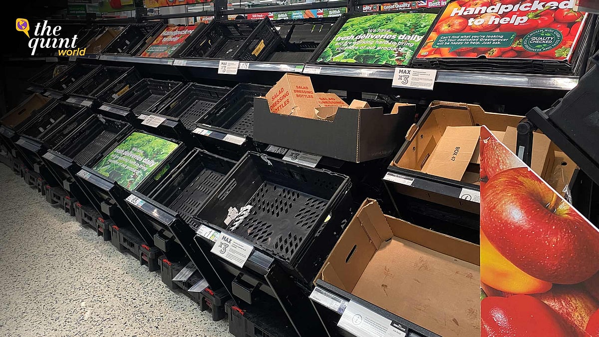 <div class="paragraphs"><p>Current issues relating to the availability of certain fruits and vegetables were predominately caused by poor weather in Spain and North Africa where they are produced.”</p></div>
