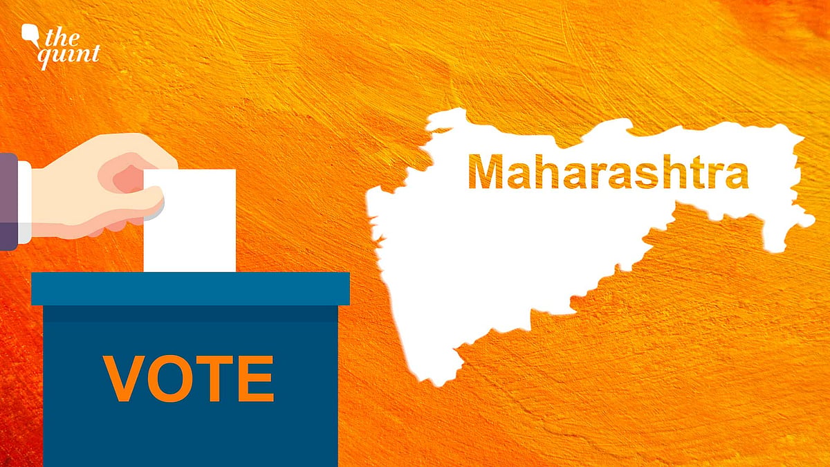 <div class="paragraphs"><p>While Congress' Ravindra Dhangekar won in Kasba Peth, BJP's Ashwini Jagtap defeated NCP candidate in Chinchwad.</p></div>