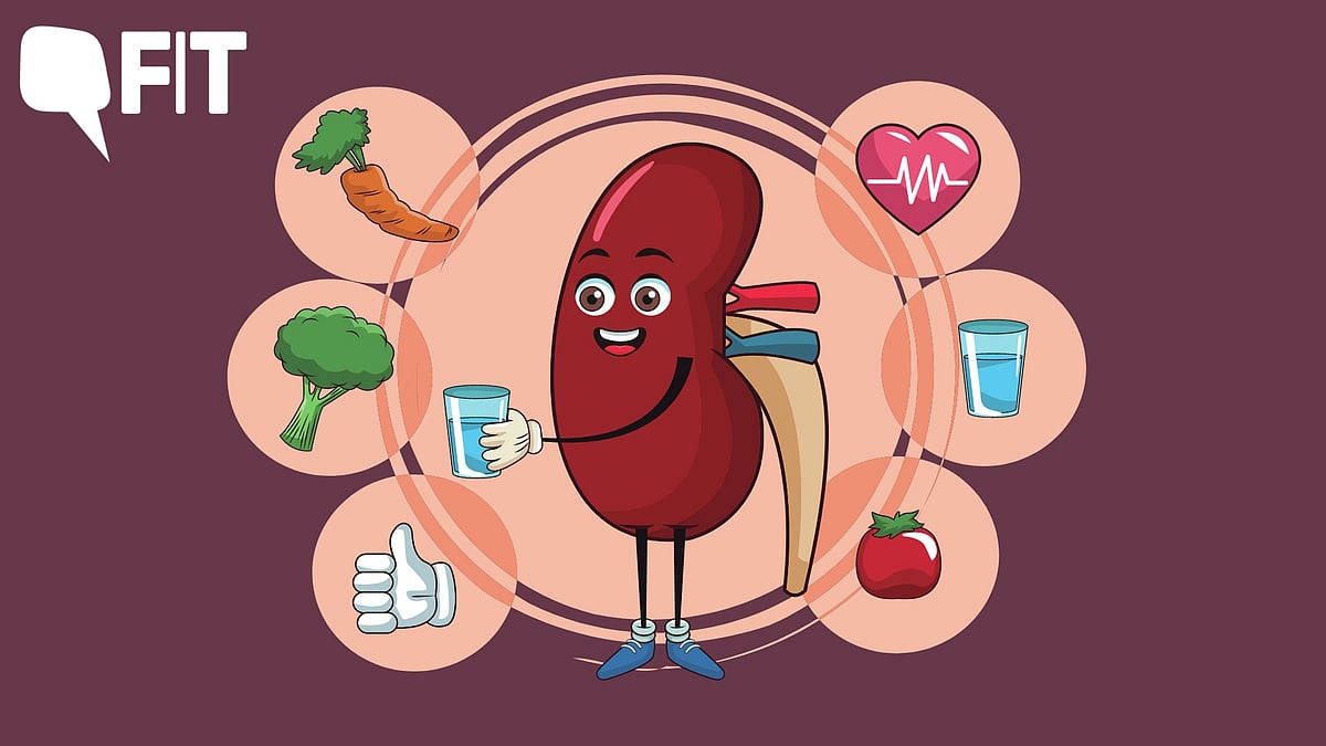 <div class="paragraphs"><p>One really important roles of the kidneys is the removal of waste products and excess fluid from the body which is done through the urine.</p></div>