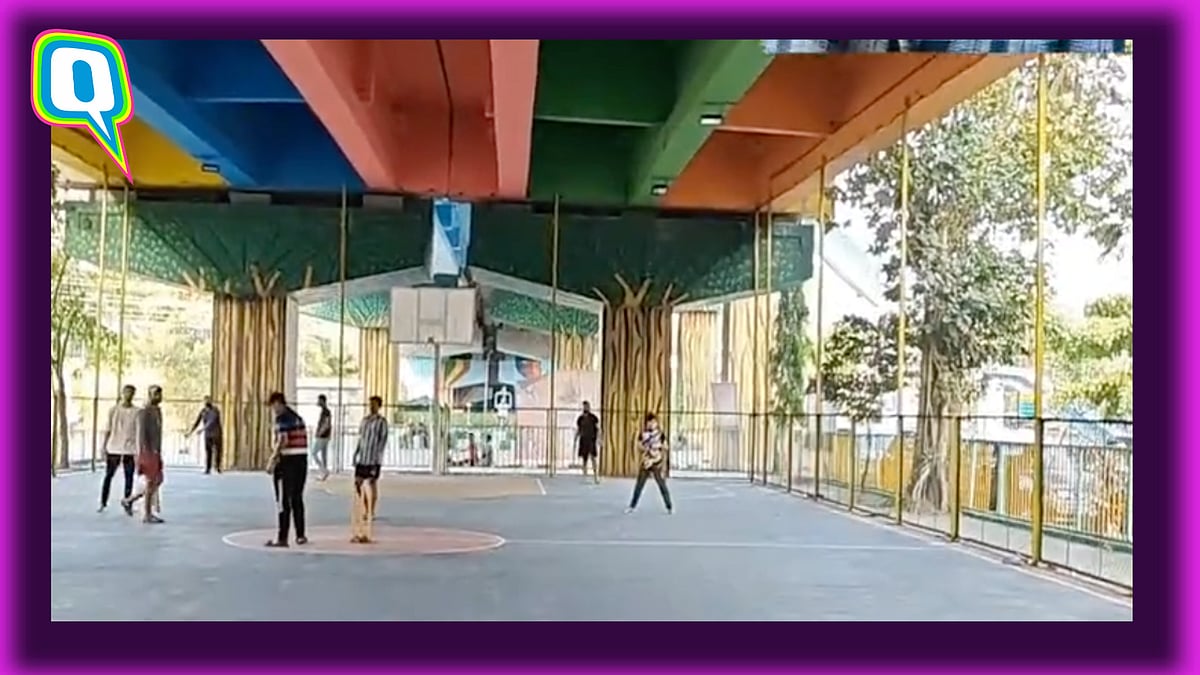 <div class="paragraphs"><p>Sports Arena Under A Mumbai Flyover? Netizens Find It Brilliant</p></div>