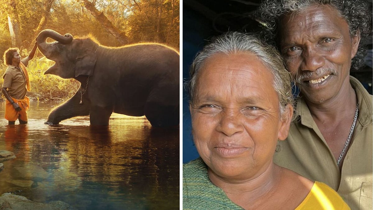 <div class="paragraphs"><p>‘The Elephant Whisperers’ Bomman & Bellie Allege Exploitation by Filmmakers. </p></div>