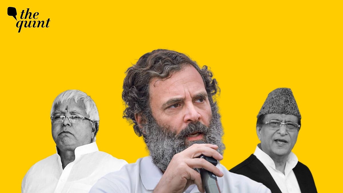 <div class="paragraphs"><p>Rahul Gandhi was disqualified from the Lok Sabha following his conviction in a 2019 defamation case over a comment on the 'Modi surname'. </p></div>