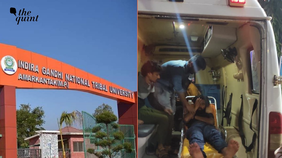 <div class="paragraphs"><p>4 Kerala students were allegedly assaulted by campus security at Indira Gandhi National Tribal University.</p></div>