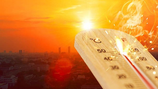 <div class="paragraphs"><p>The move is aimed at providing a simple and cost-effective solution to beat the <a href="https://www.thequint.com/topic/heat">heat</a>.</p></div>