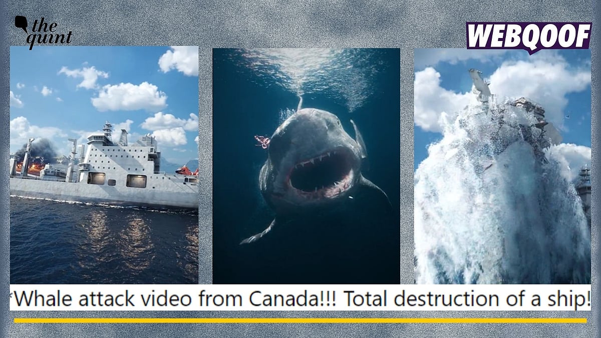 <div class="paragraphs"><p>Fact-check: An animated video of a whale hitting and destroying a ship is going viral as a real incident. </p></div>