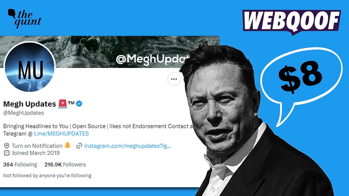 <div class="paragraphs"><p>Fact-Check | The new paid subscription plans on Twitter is heavily impacting the content on the platform.</p></div>