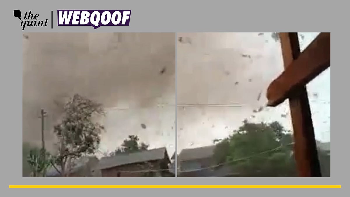 <div class="paragraphs"><p>Fact-Check |The video is from Myanmar and not from Assam.</p></div>