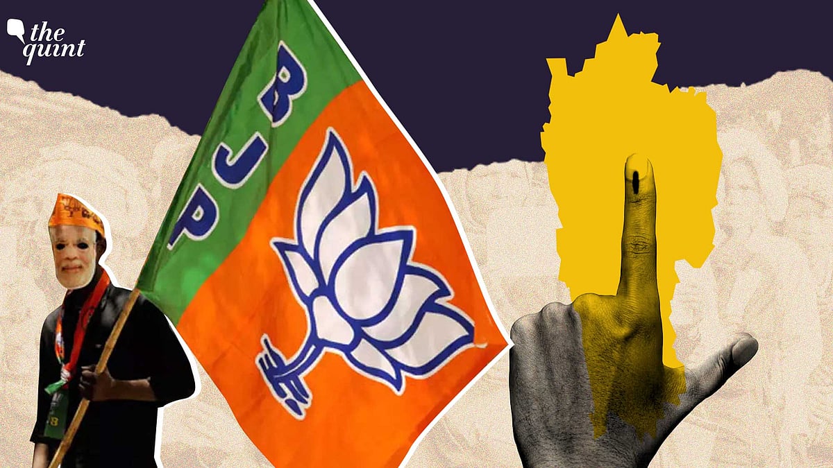 <div class="paragraphs"><p>After winning in Christian-majority Nagaland & Meghalaya, the saffron party eyes Mizoram assembly polls to set base.</p></div>