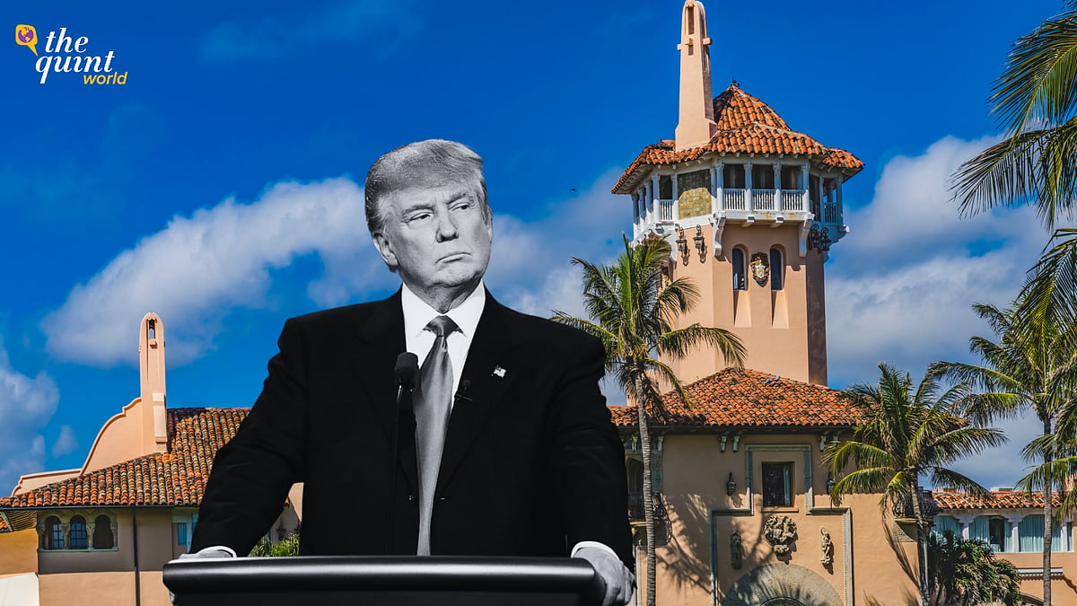 <div class="paragraphs"><p>A New York grand jury voted to indict the former president for his alleged role in organising a hush money payment to adult film star Stormy Daniels during his 2016 presidential campaign.</p></div>