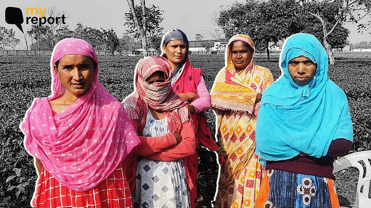 <div class="paragraphs"><p>The minimum wage of tea garden workers in Rs 250 per day. Some workers earn even less than that.</p></div>