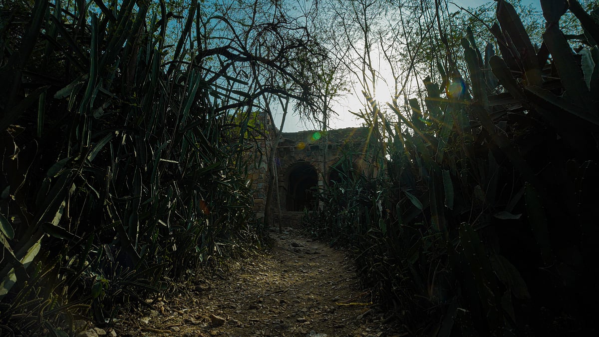 <div class="paragraphs"><p>Malcha Mahal, a Tughlaq-era hunting lodge erected by Sultan Firoz Shah Tughlaq, is set in Delhi's ridge area near Chanakyapuri.</p></div>