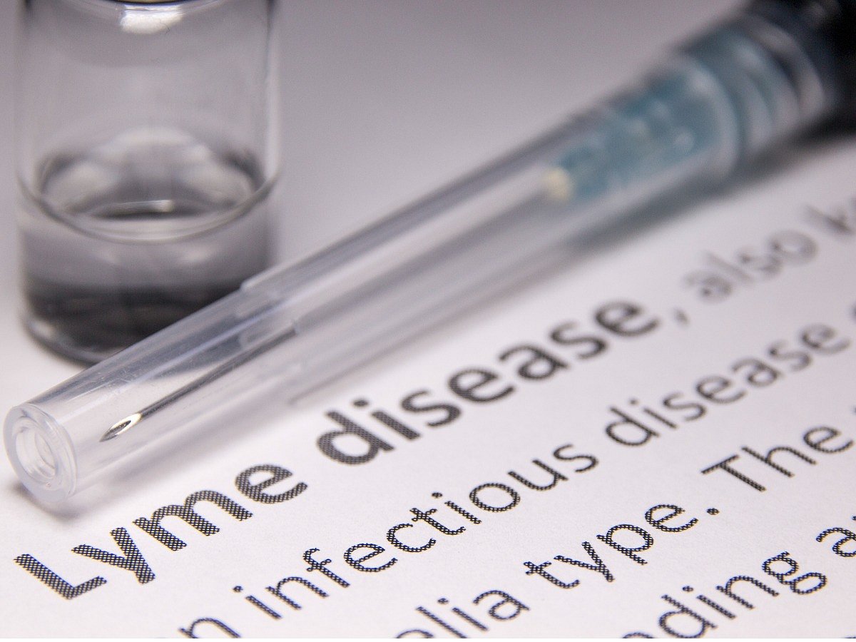 <div class="paragraphs"><p>know all about Lyme disease</p></div>