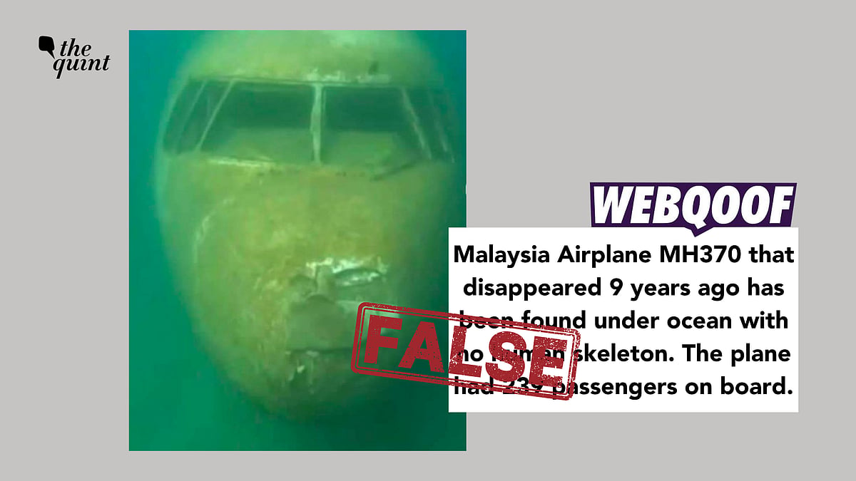 <div class="paragraphs"><p>The photo shows an abandoned plane that was sunk to create an artificial reef for marine life.</p></div>