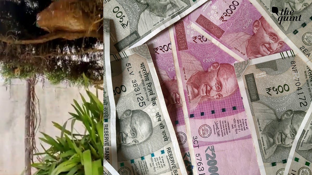 <div class="paragraphs"><p>The Income Tax department has seized one crore rupees from the house of Subramania Rai in Karnataka's Mysore. </p></div>