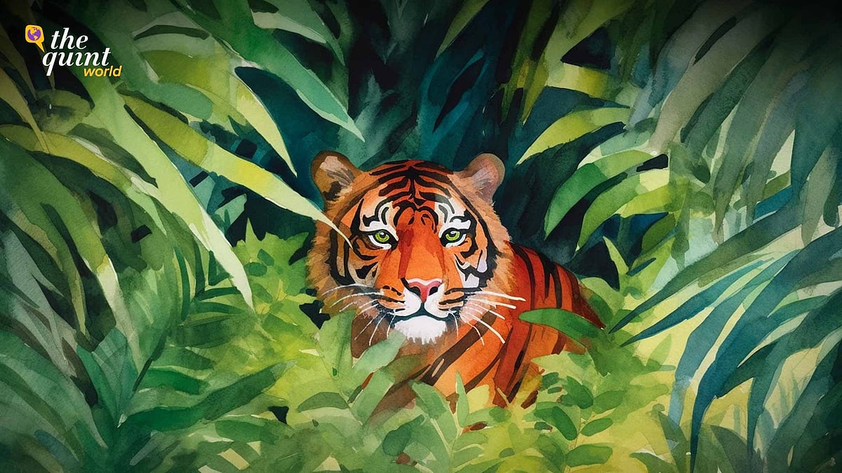 <div class="paragraphs"><p>From an initial investment in 1973 of just nine dedicated tiger reserves, India now protects 54 such areas. It adds up to an area in excess of 75,000 sq kilometres, or about 2% of the country.</p></div>