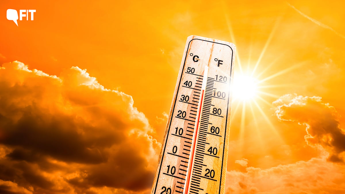<div class="paragraphs"><p>IMD has advised caution to southern Indian states in the wake of heatwave like conditions.</p></div>