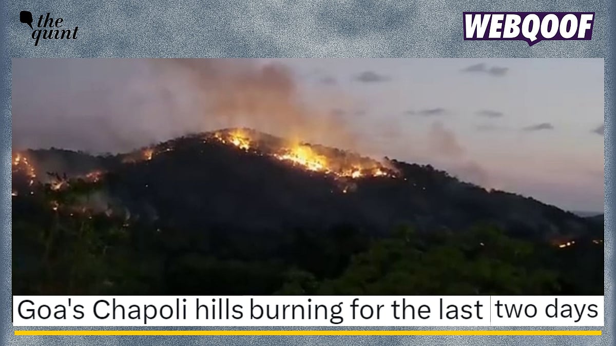 <div class="paragraphs"><p>Fact-check: As per the claim, there is no ongoing forest fire at Chapoli hills, Goa. This is a misleading claim with an old video of a forest fire.</p></div>