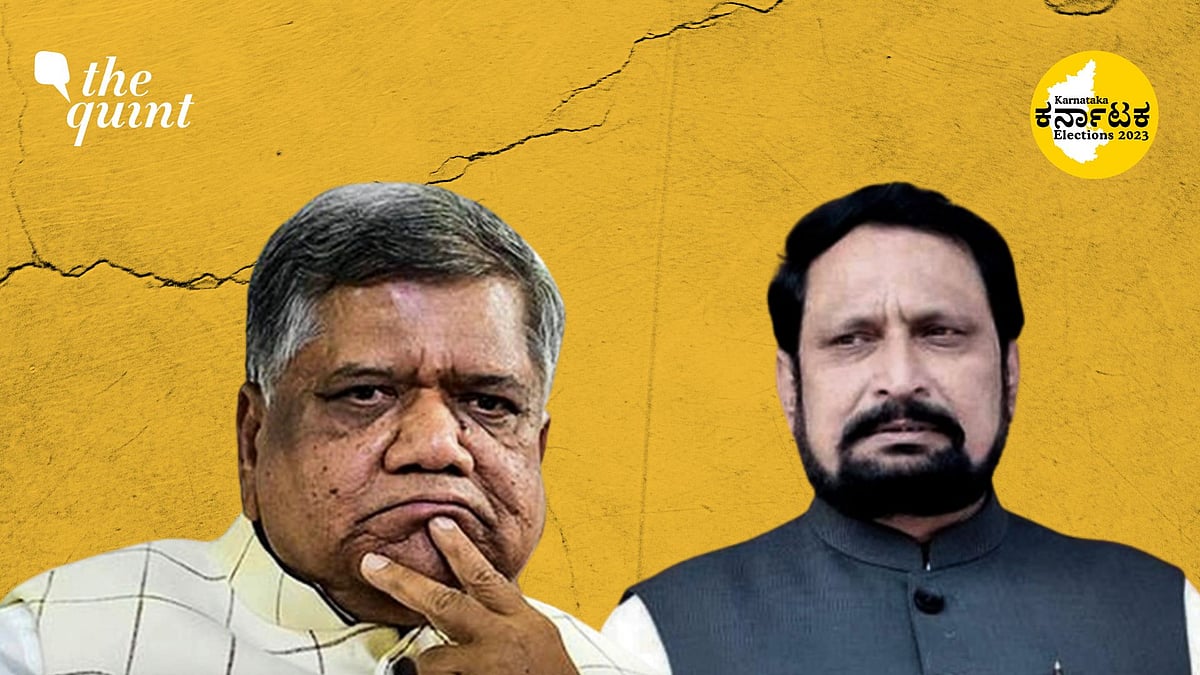 <div class="paragraphs"><p>In the run up to the polls, several leaders across board switched sides and ditched their parties.</p></div>