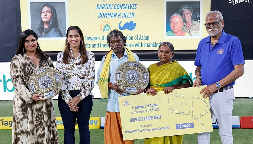 <div class="paragraphs"><p>CSK Felicitates Bomman-Bellie &amp; Kartiki Gonsalves Of 'The Elephant Whisperers'</p></div>