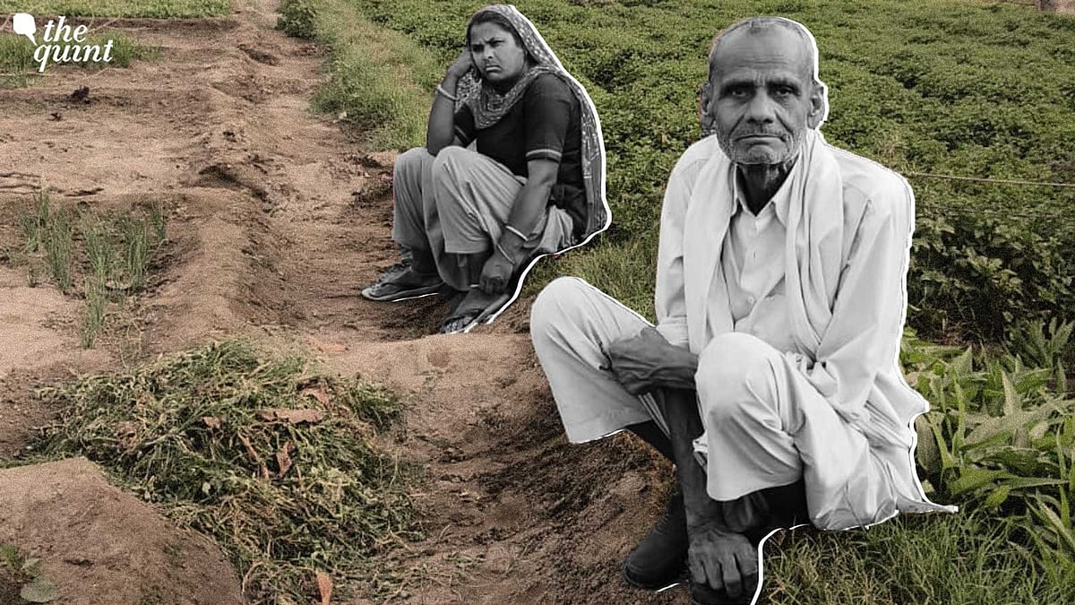 <div class="paragraphs"><p>A spell of unseasonal rains in April has caused severe harm to urban farmers in Delhi. </p></div>
