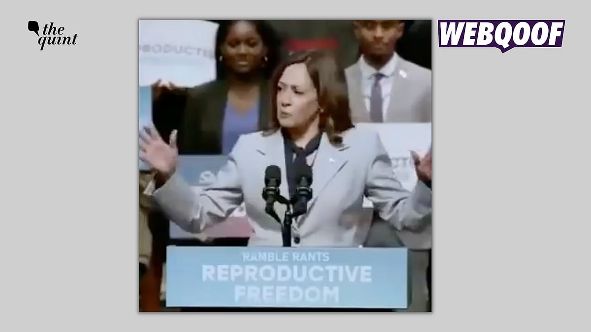 <div class="paragraphs"><p>The video showing United States Vice President Kamala Harris was edited to add a voiceover.</p></div>