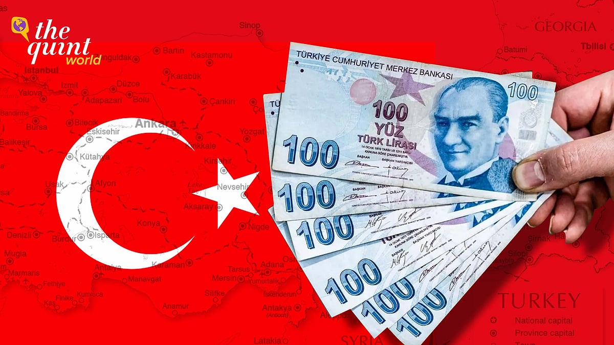 <div class="paragraphs"><p>President Recep Tayyip Erdoğan and his ruling AKP (Justice and Development Party) came to power in 2002 not long after the previous incumbents’ economic mismanagement had cause a major crisis that sent the lira and stock market plunging.</p></div>