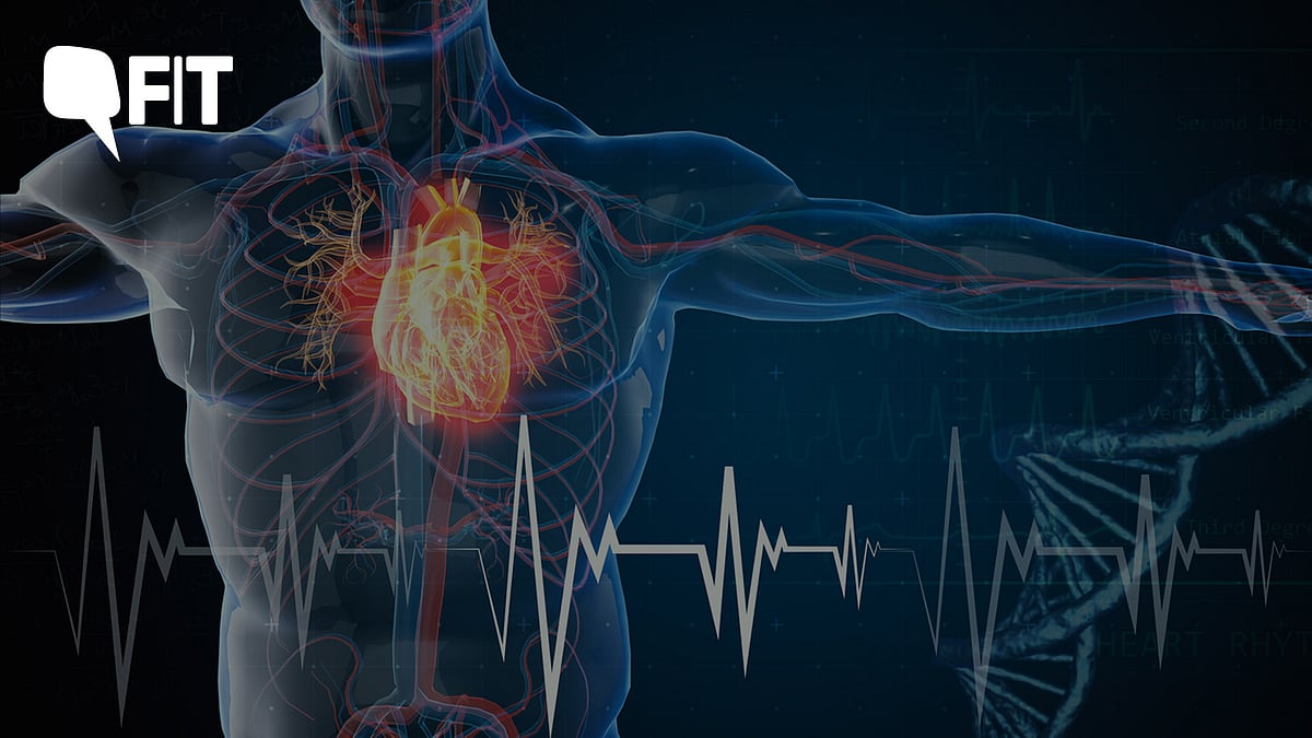 <div class="paragraphs"><p>28,449 people died due to heart attacks in 2021 in the country, a <a href="https://thequint.com/fit/pots-post-covid-long-covid-heart-struggle-diagnosis-treatment">National Crime Records Bureau </a>report stated.</p></div>