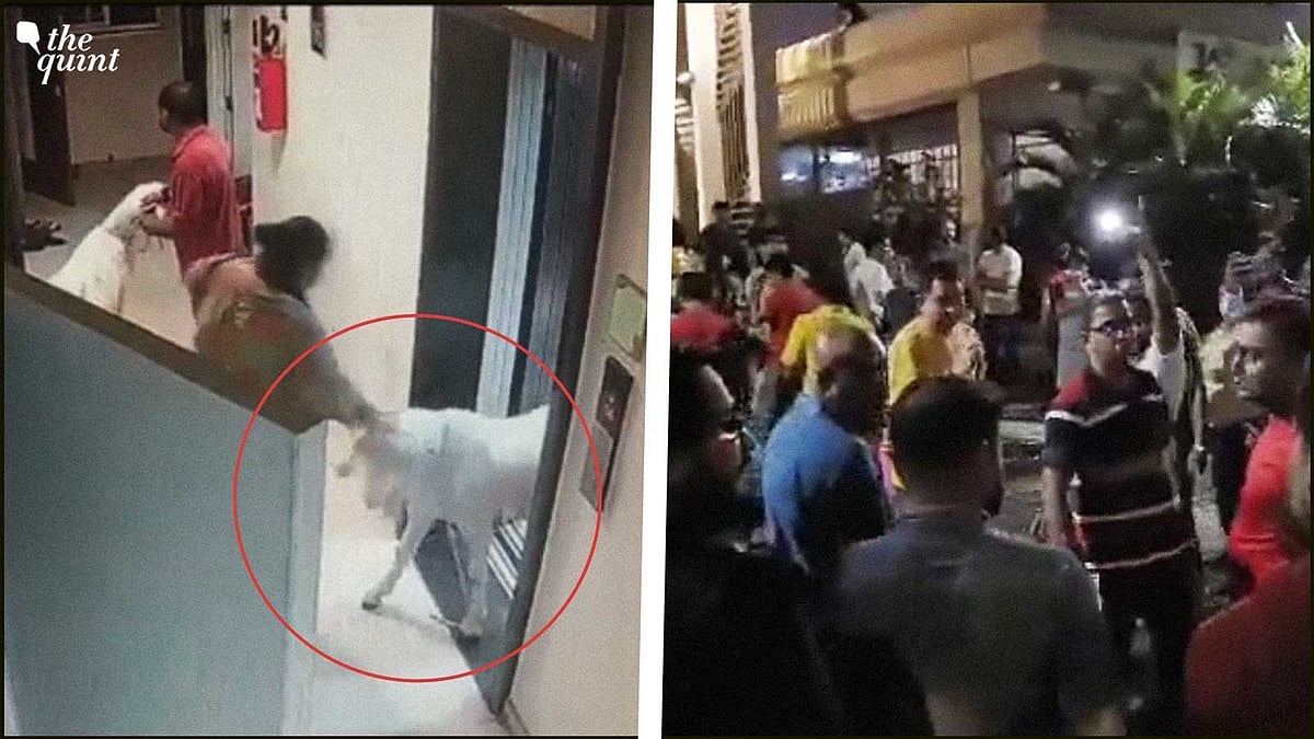 <div class="paragraphs"><p>Tensions flared up in a residential society in Mumbai after a Muslim family acquired goats ahead of Eid al-Adha.</p></div>