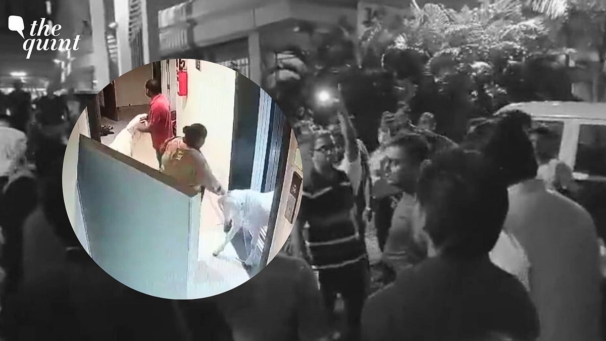 <div class="paragraphs"><p>Following tensions in a residential society in Mumbai over bringing goats for Eid, an FIR was registered against the Muslim couple.</p></div>