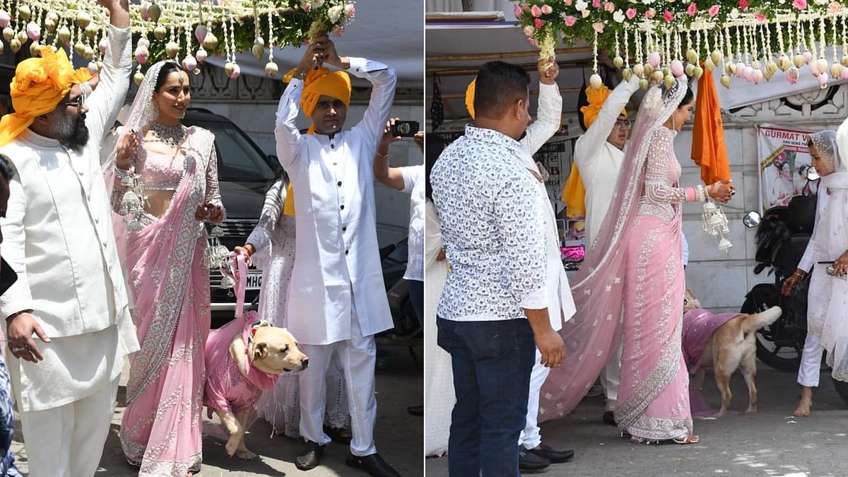 <div class="paragraphs"><p>Actor Sonnalli Seygall, best known for her role in the Pyaar Ka Punchnama opted for a pink lehenga for a big day. </p></div>