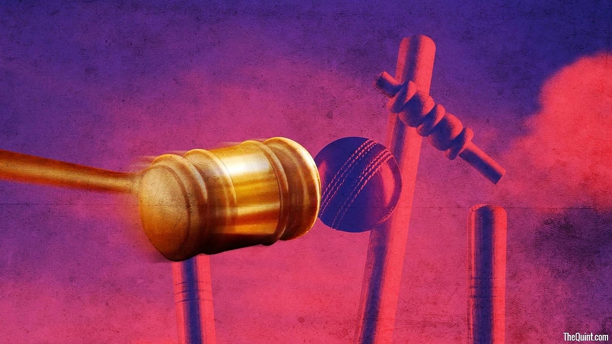<div class="paragraphs"><p>The ICC World Cup 2023 India schedule draft version is here for cricket fans.</p></div>