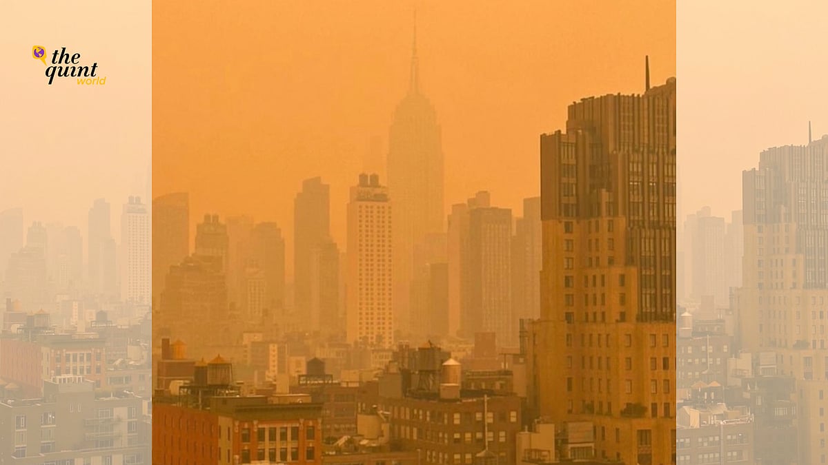 <div class="paragraphs"><p>New York residents were encouraged to stay indoors as the thick haze led to flight delays and postponed various sporting events in the city on Wednesday 7 June. </p></div>
