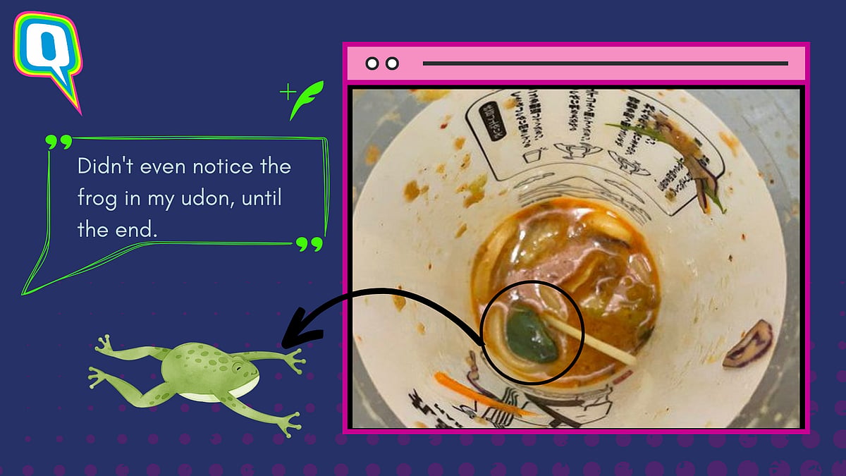 <div class="paragraphs"><p>Live Frog Discovered In Japanese Man's Udon Noodles; Company Issues Apology</p></div>