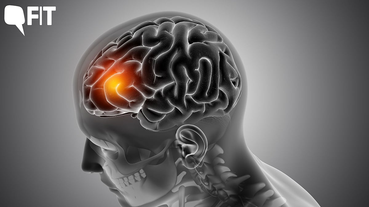 <div class="paragraphs"><p>Detecting brain tumours early is crucial for effective treatment and improved outcomes.</p></div>