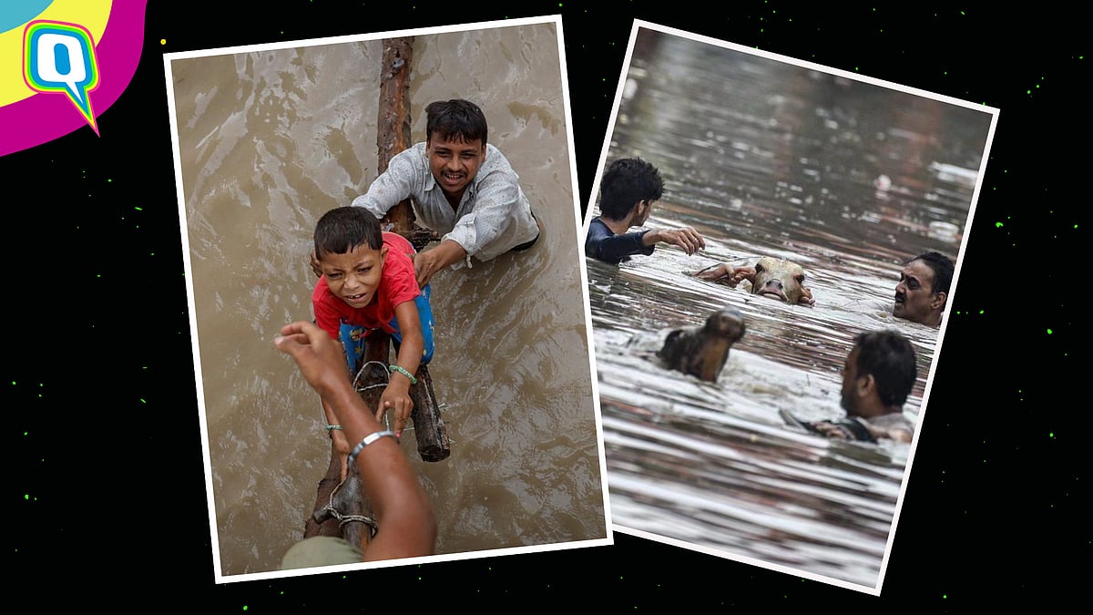 <div class="paragraphs"><p>Alarming Pictures Chronicle Extreme Floods In New Delhi </p></div>
