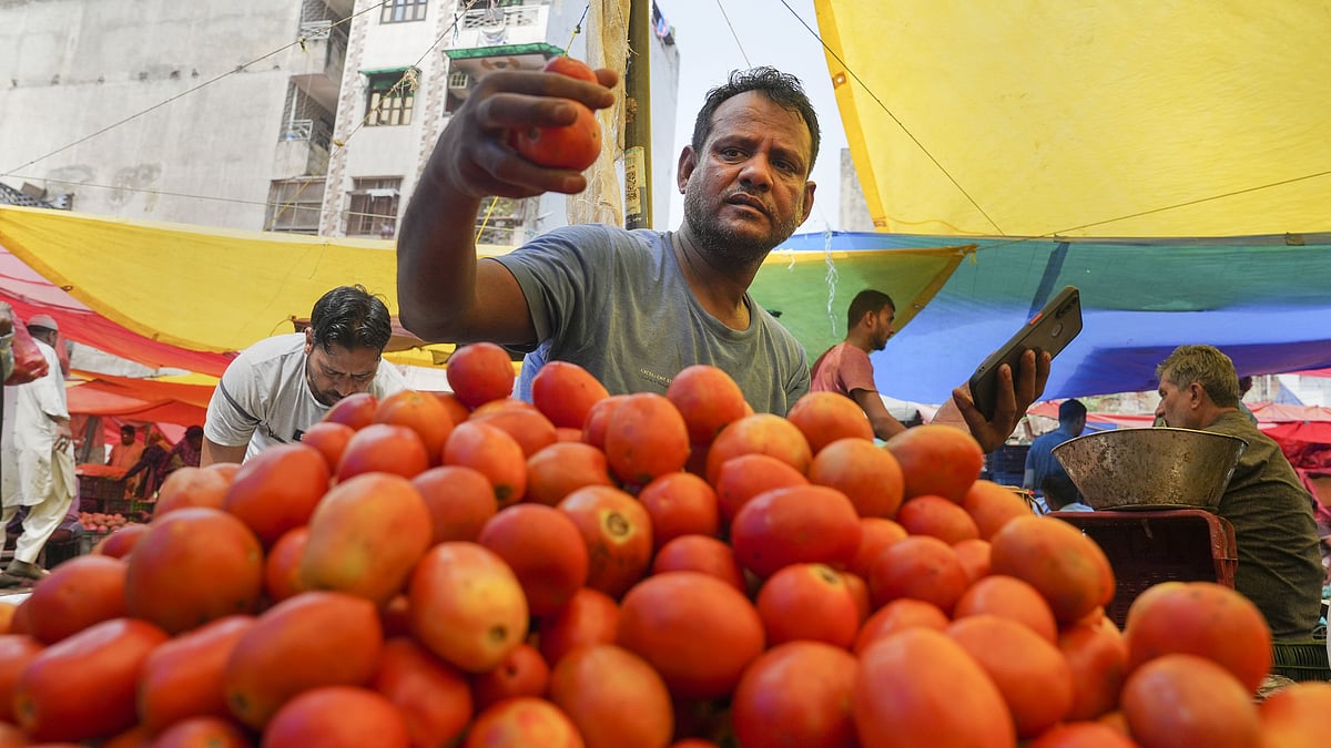 <div class="paragraphs"><p>The price of tomatoes, which has been on the rise since last month, remained at an inflated cost of Rs 250 per kg across major cities on Saturday.</p></div>