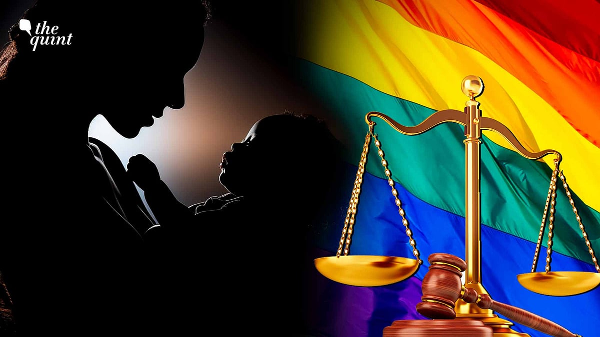 <div class="paragraphs"><p>Eight years down the line, the trans community's fight for adoption rights lives on.</p></div>