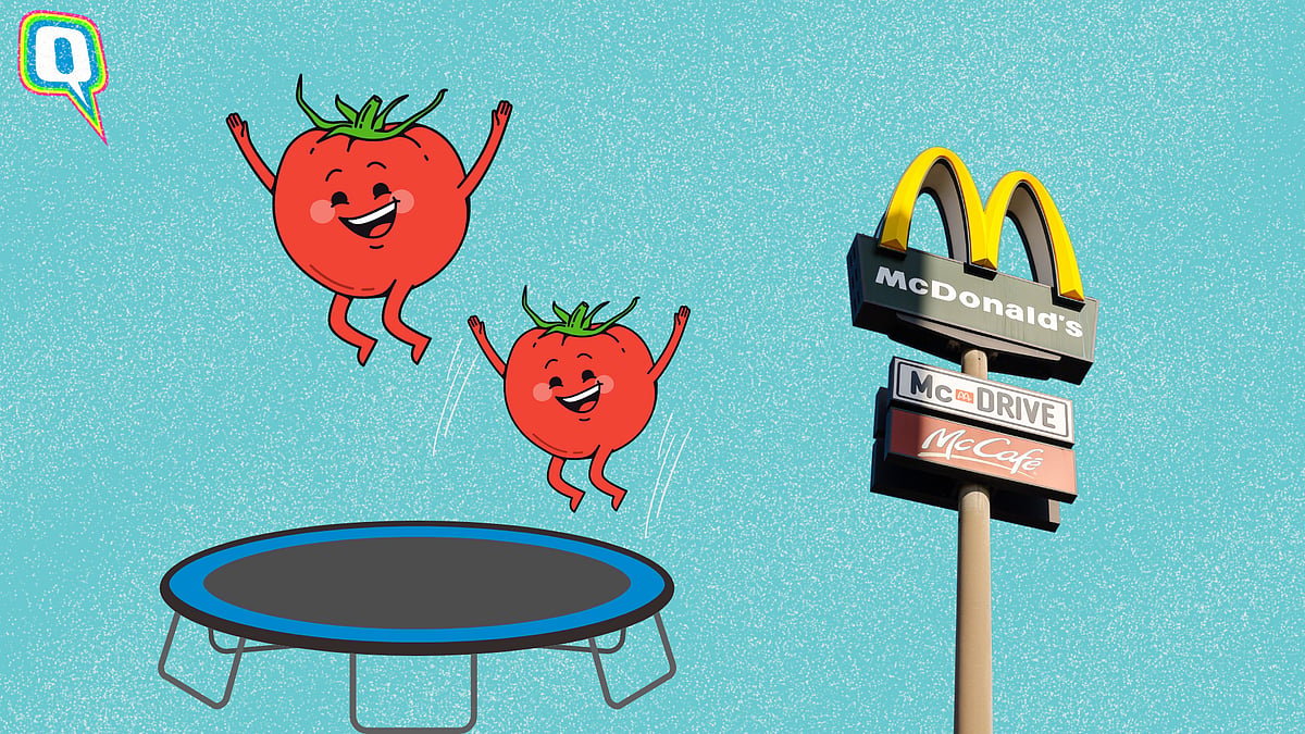 <div class="paragraphs"><p>Tomato prices skyrocket across India.</p></div>