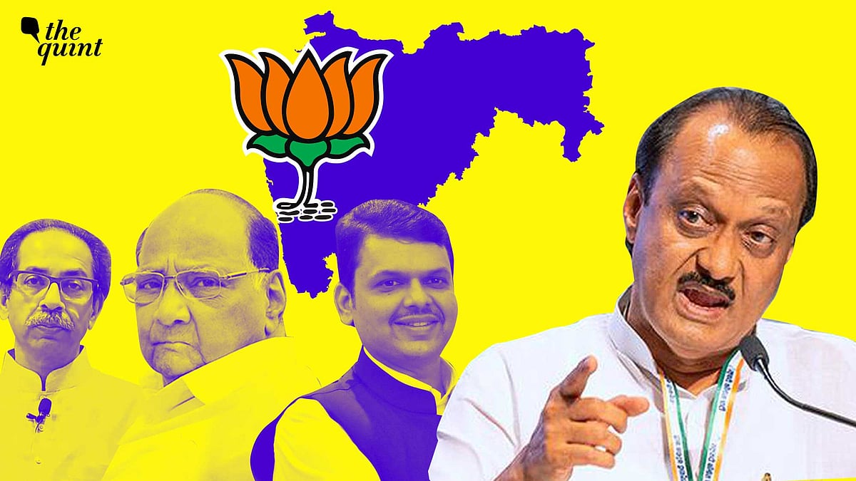 <div class="paragraphs"><p>Shinde has reasons to worry as Ajit is a far bigger leader than him and he could have more impact on the government from whatever position he might be holding. Besides, it is a fact that the NCP leaders in the Cabinet are more experienced and competent as compared to most others from the two other parties.</p></div>