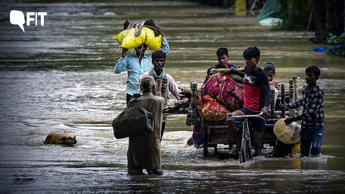 <div class="paragraphs"><p>Floods: Infections, Illnesses, and how to protect against them.</p></div>