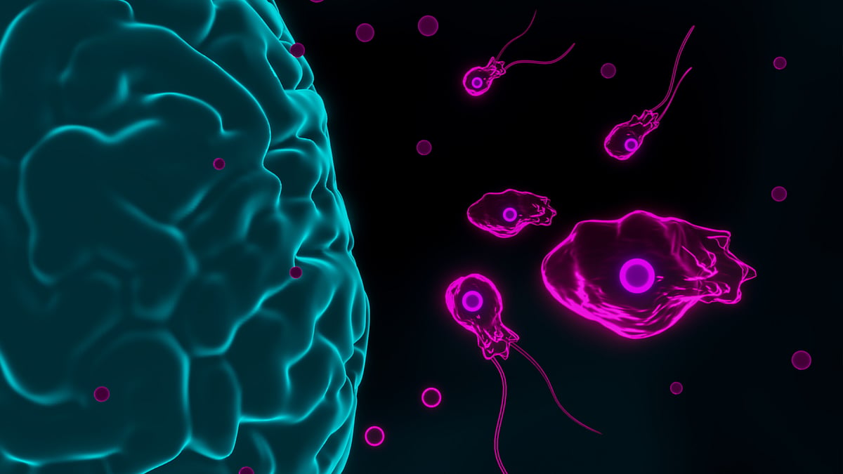 <div class="paragraphs"><p>Primary Amoebic Meningoencephalitis (PAM) or brain-eating amoeba: Image for representational image only.</p></div>