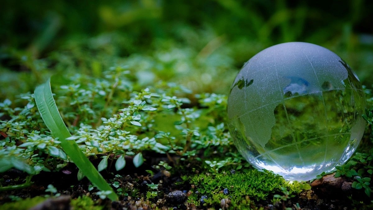 <div class="paragraphs"><p>World Nature Conservation Day 2023: Know the date, history, significance, and more.</p></div>