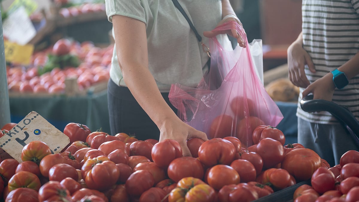 <div class="paragraphs"><p>The curious case of rising tomato prices and food inflation. </p></div>