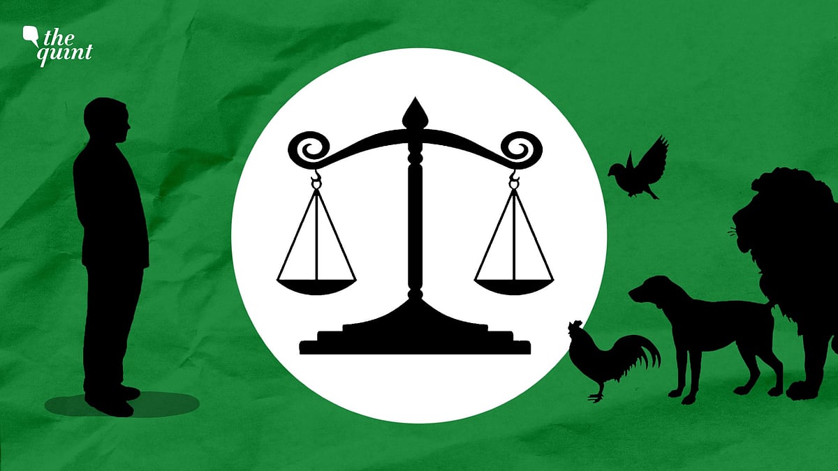 <div class="paragraphs"><p>The cultural, religious, commercial and scientific use of animals should all be weighed against reasonable alternatives in light of such an ethical framework.</p></div>