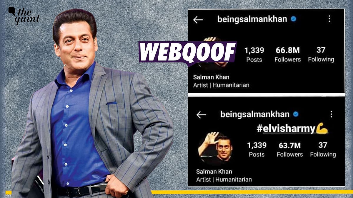 <div class="paragraphs"><p>Fact-check: Salman Khan did not lose followers on Instagram after his clash with Elvish Yadav on Bigg Boss OTT 2. </p></div>