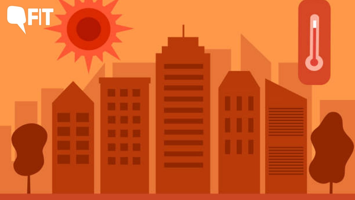 <div class="paragraphs"><p>Here is what the government is planning to do to mitigate the ill-effects of extreme heat for Delhi's citizens.</p></div>