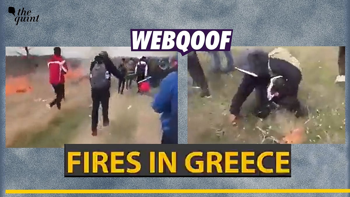 <div class="paragraphs"><p>Fact-check: An old video from Greece showing a clash between the police and the migrants is being falsely shared as 'illegal migrants' starting the forest fires.</p></div>