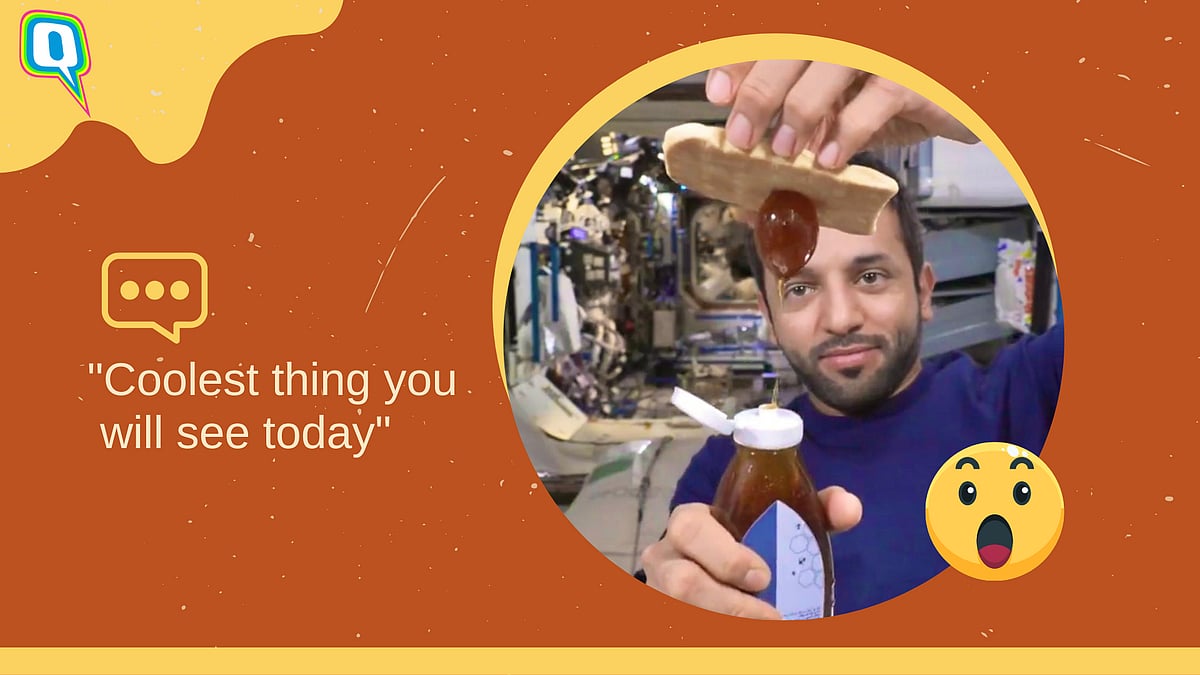 <div class="paragraphs"><p>Viral Clip: UAE Astronaut Eating Honey Sandwich In Space Fascinates Netizens</p></div>