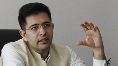 <div class="paragraphs"><p>AAP MP Raghav Chadha</p></div>