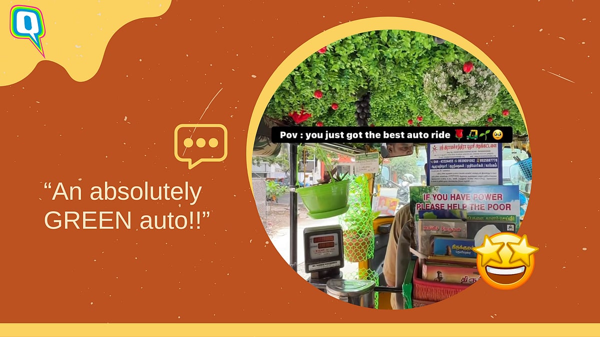 <div class="paragraphs"><p>Viral: This Chennai Auto Rickshaw Is Turning Heads With A Mini Garden Inside </p></div>
